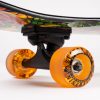 FT. POINT EDEN Sector 9 Longboard COMPLETE - Image 7