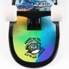 Sector 9 Mason Pro Ddanger Cruiser COMPLETE - Image 6