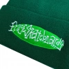Frog Skateboards- Oval Logo Beanie, Green - Image 2