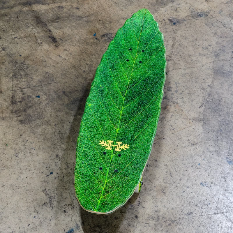 8.75" Habitat Skateboards- Leafline Cruiser Complete - Image 5