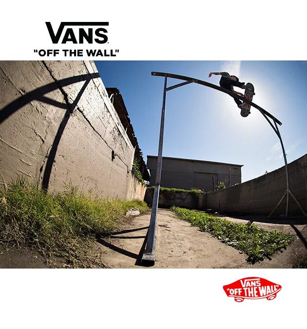 Vans Skate and Lifestyle classic skateboard shoes