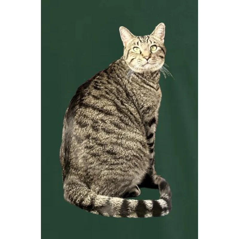 Forest green t-shirt with a close-up of Goombah cat illustration on the left chest pocket.