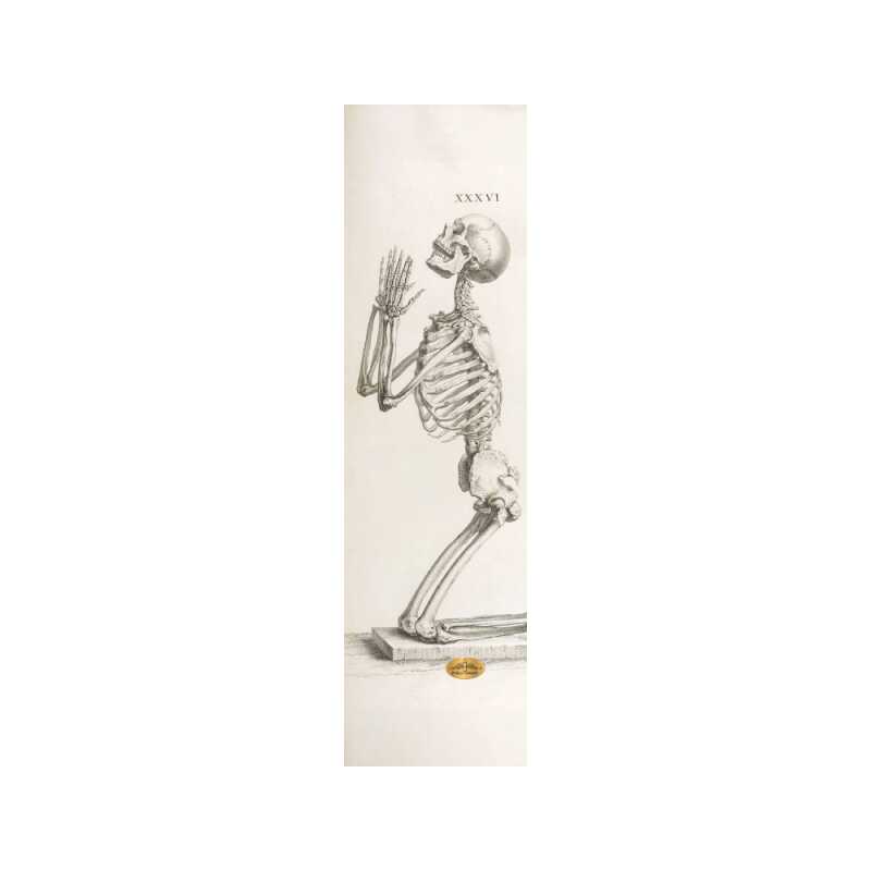 Pvblic Domain Penitent Perforated Griptape.