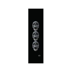 Pvblic Domain Render Black Perforated Griptape.